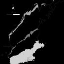 Geology of the Arctic