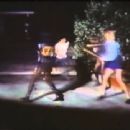 The Black Alley Cats