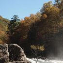 Rivers of Randolph County, West Virginia