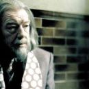 Harry Potter and the Half-Blood Prince - Michael Gambon - 454 x 192