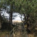 Holkham
