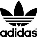 German companies established in 1924