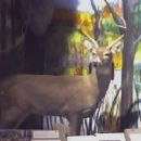 Nature center