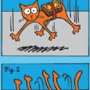 Buttered cat paradox