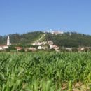 Hills of Portugal