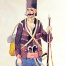 Volunteer military units and formations