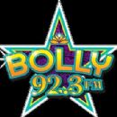 Radio stations established in 1946