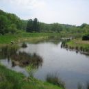 Tributaries of the Potomac River