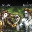 Twilight: The Graphic Novel