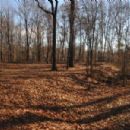 Visitor attractions in Manassas, Virginia