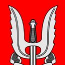 Para Commandos