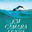 Em Câmara Lenta