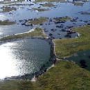 Wetlands of Bolivia
