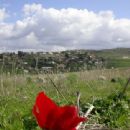 Antisemitism in Palestine