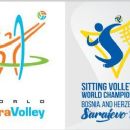 Sitting volleyball