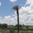 Lismore, New South Wales