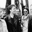 The Legendary Pink Dots