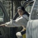 Fear the Walking Dead (2015) - 454 x 302