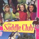 Australian television shows based on children's books