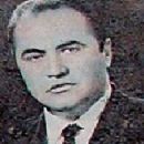 Ioannis Petridis