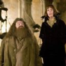 Harry Potter and the Goblet of Fire - Robbie Coltrane - 454 x 289