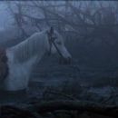 The NeverEnding Story - Noah Hathaway - 454 x 192