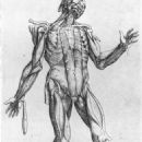 Thomas Geminus