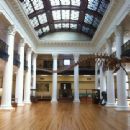 Museums in Tuscaloosa, Alabama