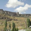 1153 establishments