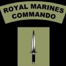 Royal Marines Reserve