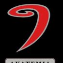 Defunct ice hockey teams in Finland