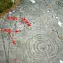 Cup and ring mark