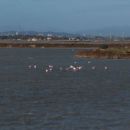 Ramsar sites in Italy