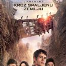 The Maze Runner  -  Poster