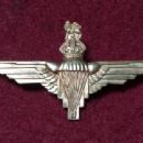 Parachute Regiment (United Kingdom)