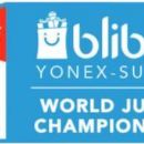2017 in Indonesian sport