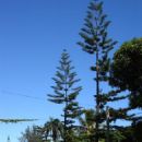 Cemeteries in Tonga