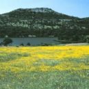 Visitor attractions in Comanche County, Oklahoma