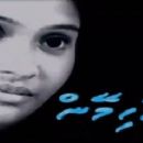Films directed by Ahmed Nimal