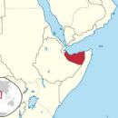 1941 in British Somaliland