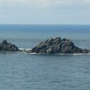 Reefs of England