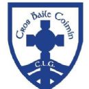 1909 in Gaelic games