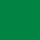 Disbanded armed forces