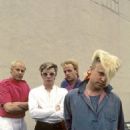 A Flock of Seagulls