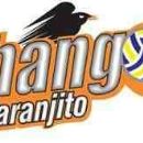 Volleyball clubs in Puerto Rico