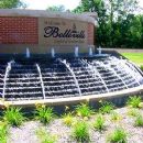 Belleville Stags
