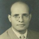 Gamal Hamdan