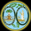 South Carolina elections, 1920