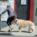 Renee Zellweger – Running errands in Laguna Beach - 454 x 434