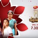 Telugu-language television shows